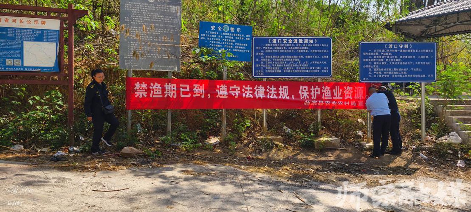 琴丫头果品